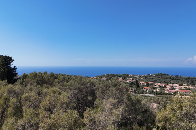 Thanasis_01.jpg