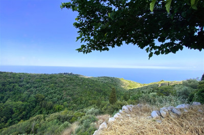 DrimonasInvestmentLand03.jpg